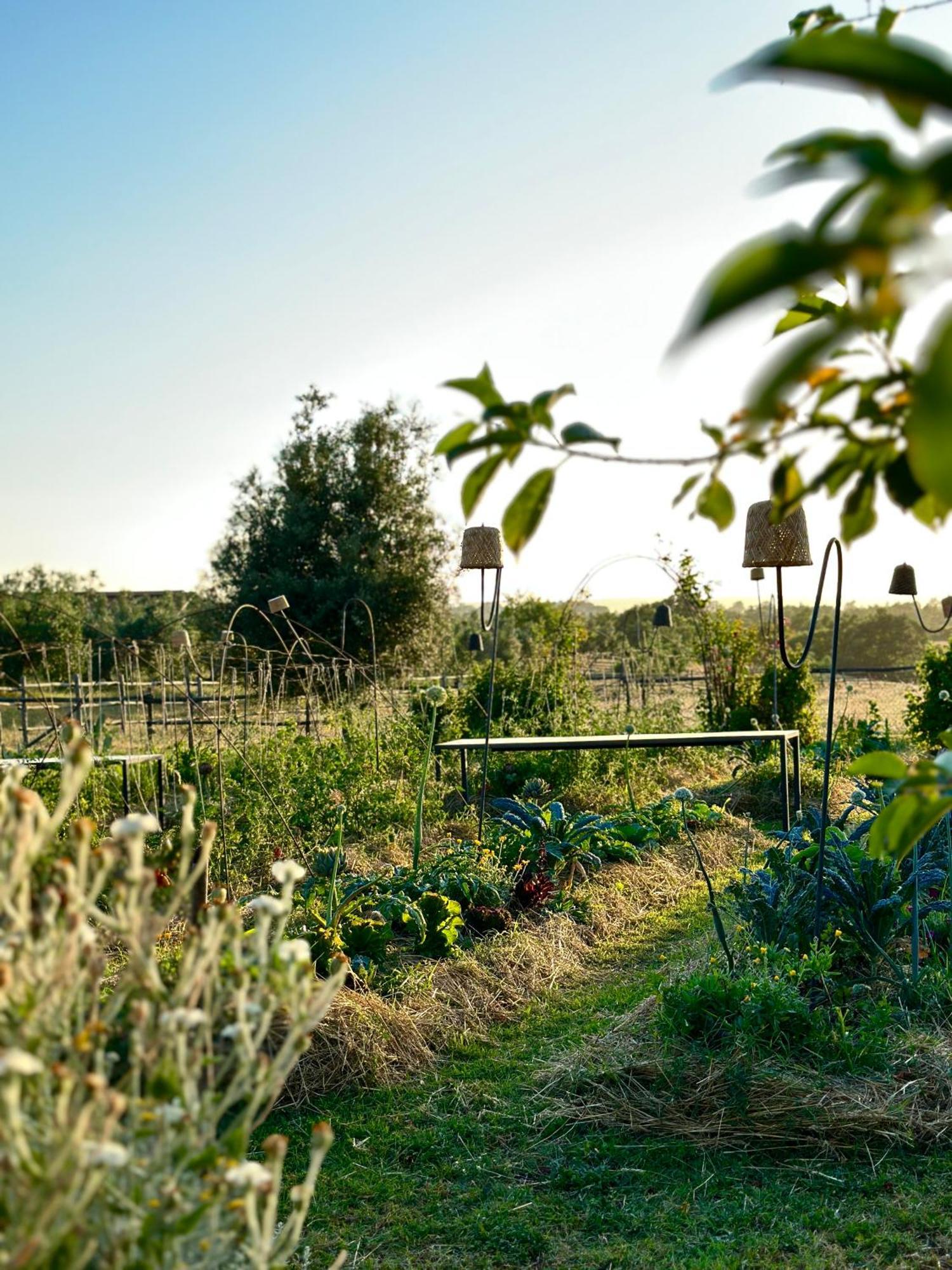 Tenuta Di Paternostro Vetralla Exterior foto