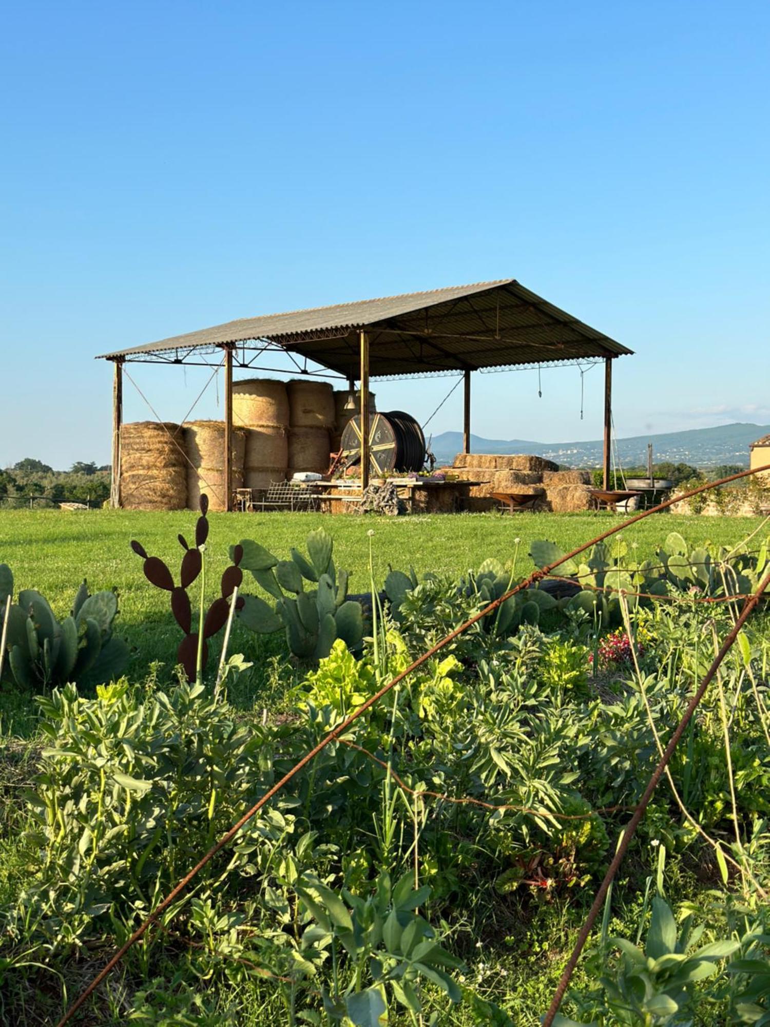 Tenuta Di Paternostro Vetralla Exterior foto